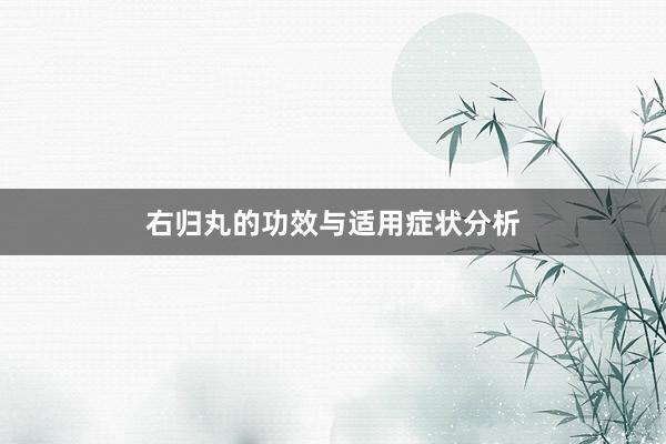 右归丸的功效与适用症状分析